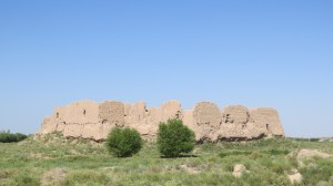 First view of Red Fort