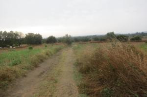 More mud on the track.