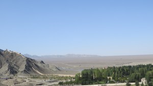 More of same. Wall. Desert.