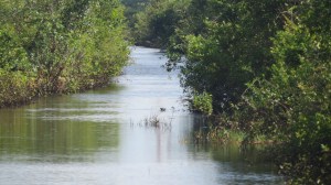 The river was narrow.