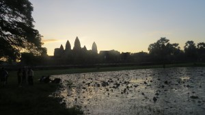 With the Lotus flowers.