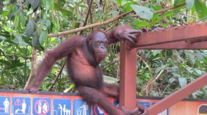 I've got a good idea. Lets go scare the tourists!