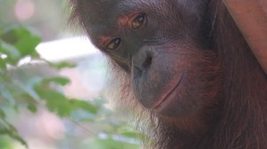 "That's ok, I really quite like you"