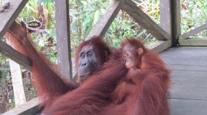 I don't know what to say.