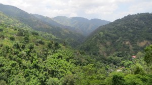 The view from Mount Edge.  The Blue Mountains of Jamaica.